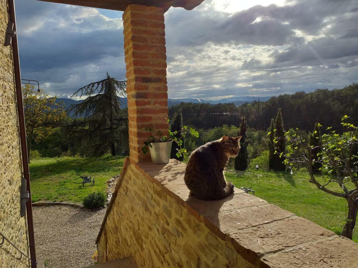 Hotel Le Terre Di Caprano à Città di Castello Extérieur photo